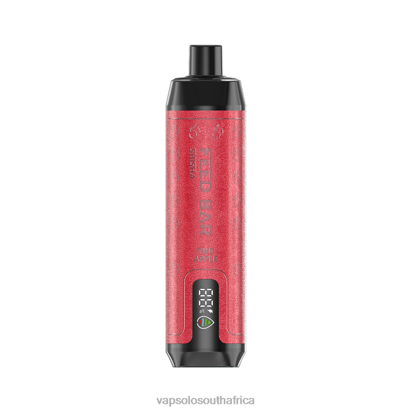 VapSolo Buy - VapSolo SHISHA Two Apple 4T2BX12