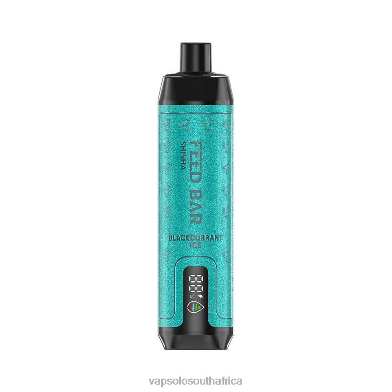 VapSolo Cape Town - VapSolo SHISHA Blackcurrant Ice 4T2BX2