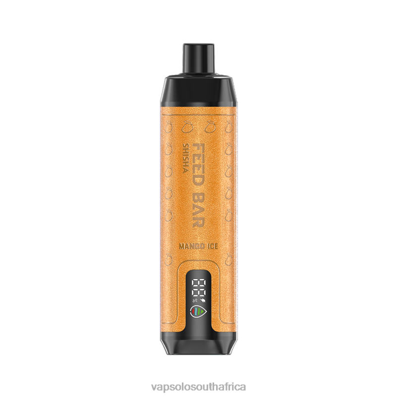 VapSolo Puff - VapSolo SHISHA Mango Ice 4T2BX9