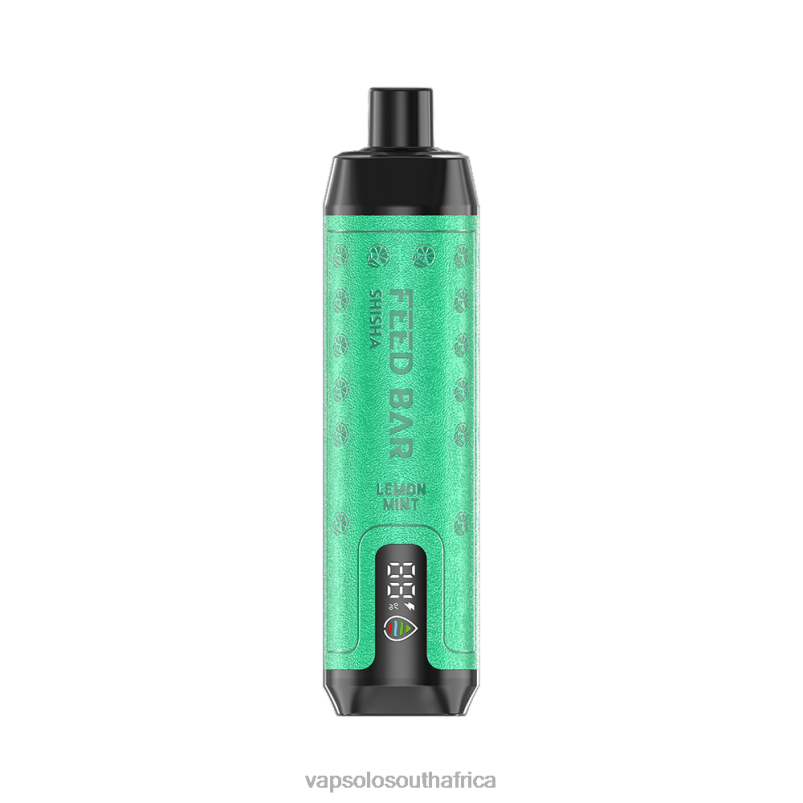 VapSolo Review - VapSolo SHISHA Lemon Mint 4T2BX7